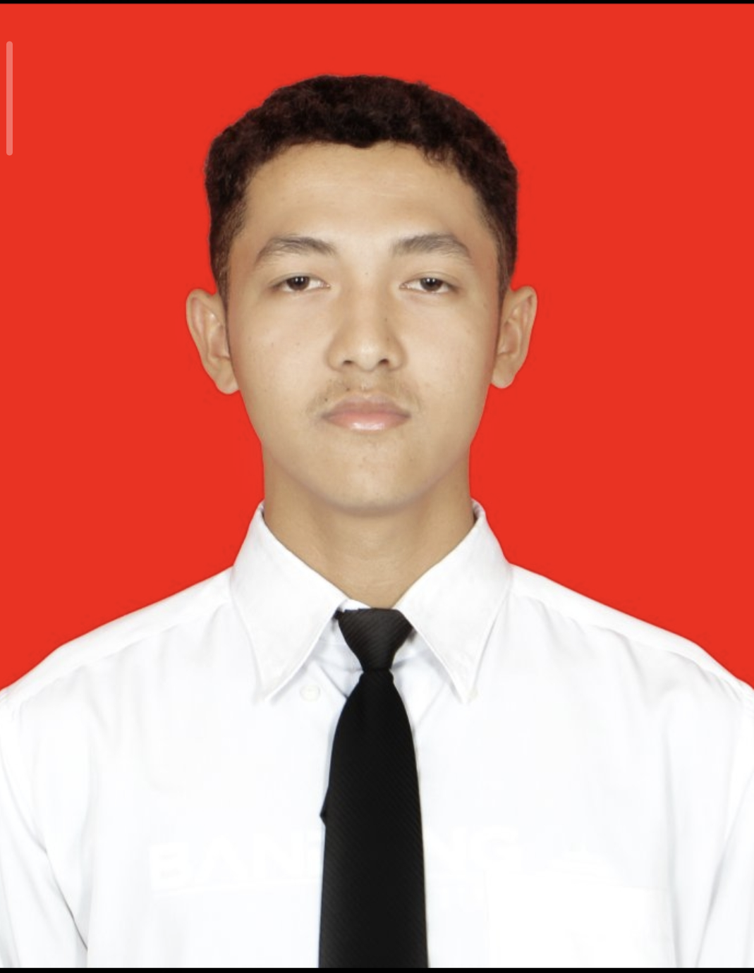 MUHAMMAD LUTHFI